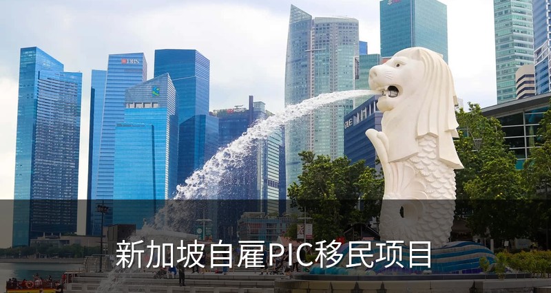 新加坡自雇PIC移民项目
