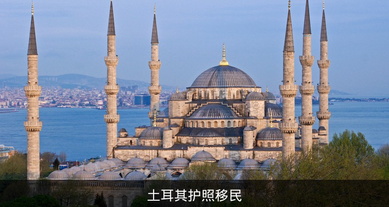 土耳其护照移民
